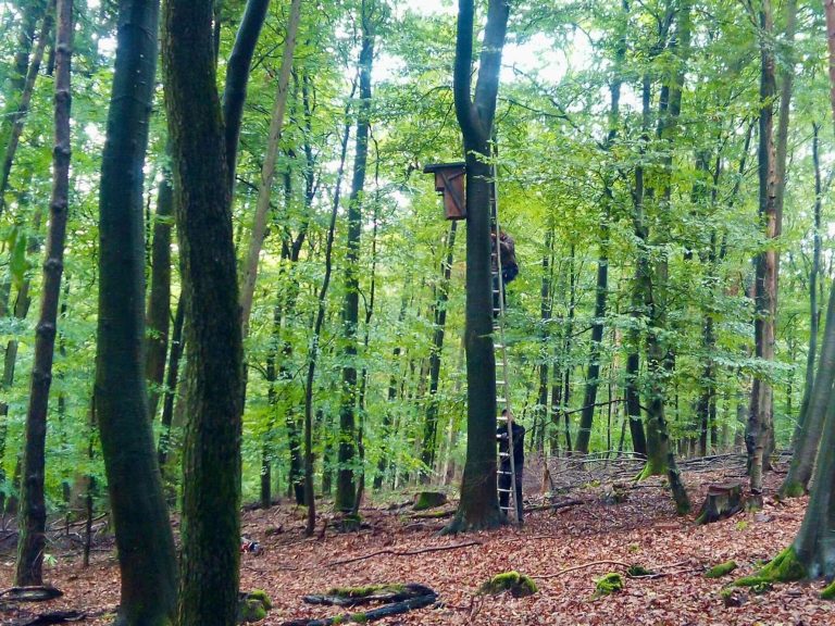 Reinigung, Wartung und Befestigung Reinigung, Wartung und Befestigung